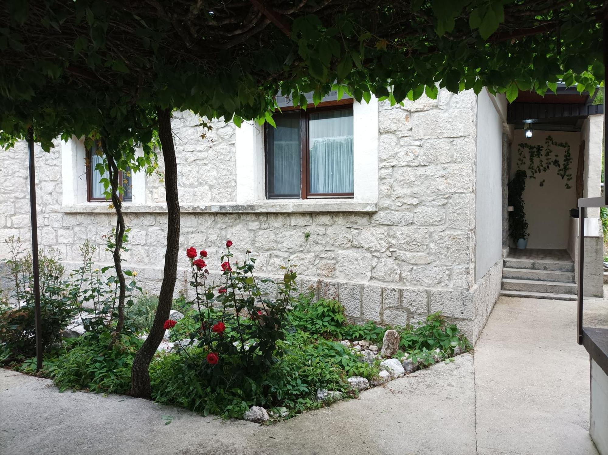 Vinarija Andjusic Bed & Breakfast Dracevo Room photo